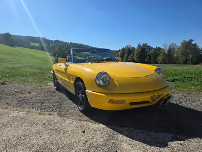 Alfa Romeo Spider 2.0 Q.Verde 1993 — Cabriolet vintage mythique, entretien impeccable — arrière
