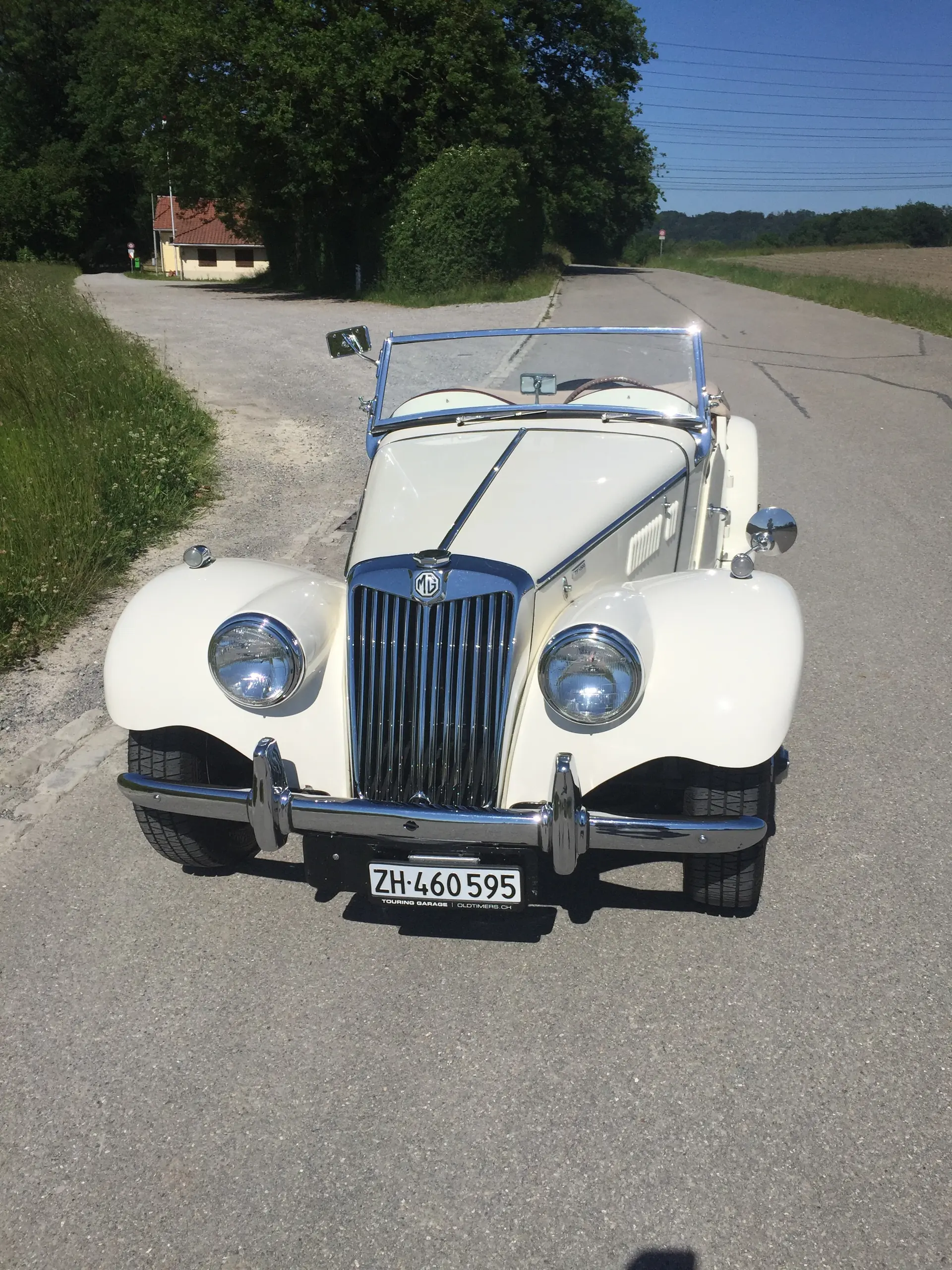MG Mg Tf 1954 occasion Tagelswangen — 1