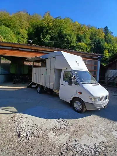 Mercedes-Benz 300-Series 312d — Camion chevaux diesel robuste, 48 000 km seulement — exterior view