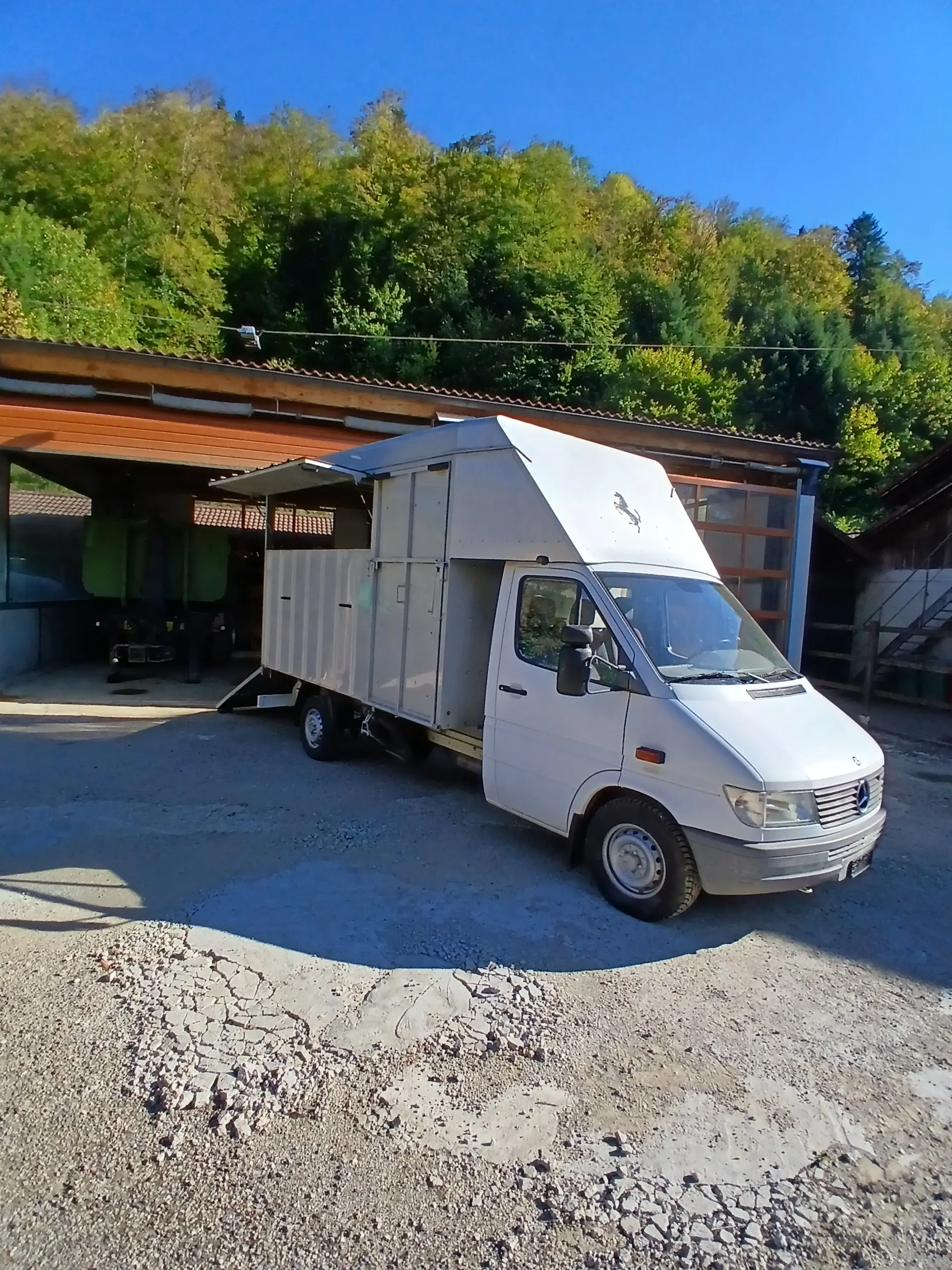 Mercedes-Benz 300 Series occasion Asuel — 1