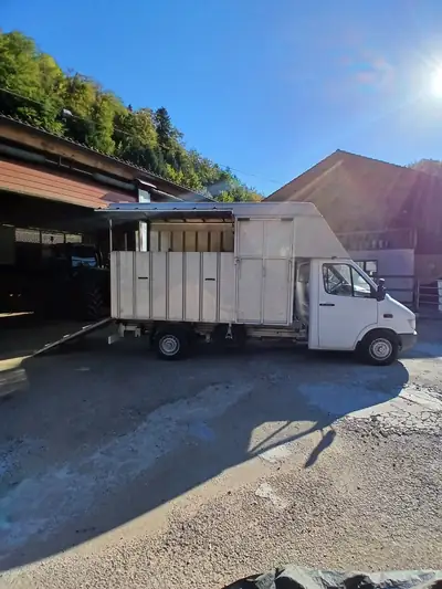 Mercedes-Benz 300-Series 312d — Camion chevaux diesel robuste, 48 000 km seulement — interior