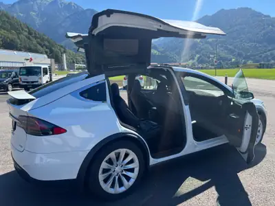 Tesla Model X 100D Long Range — SUV électrique 7 places, 524 ch, excellent état — Detail
