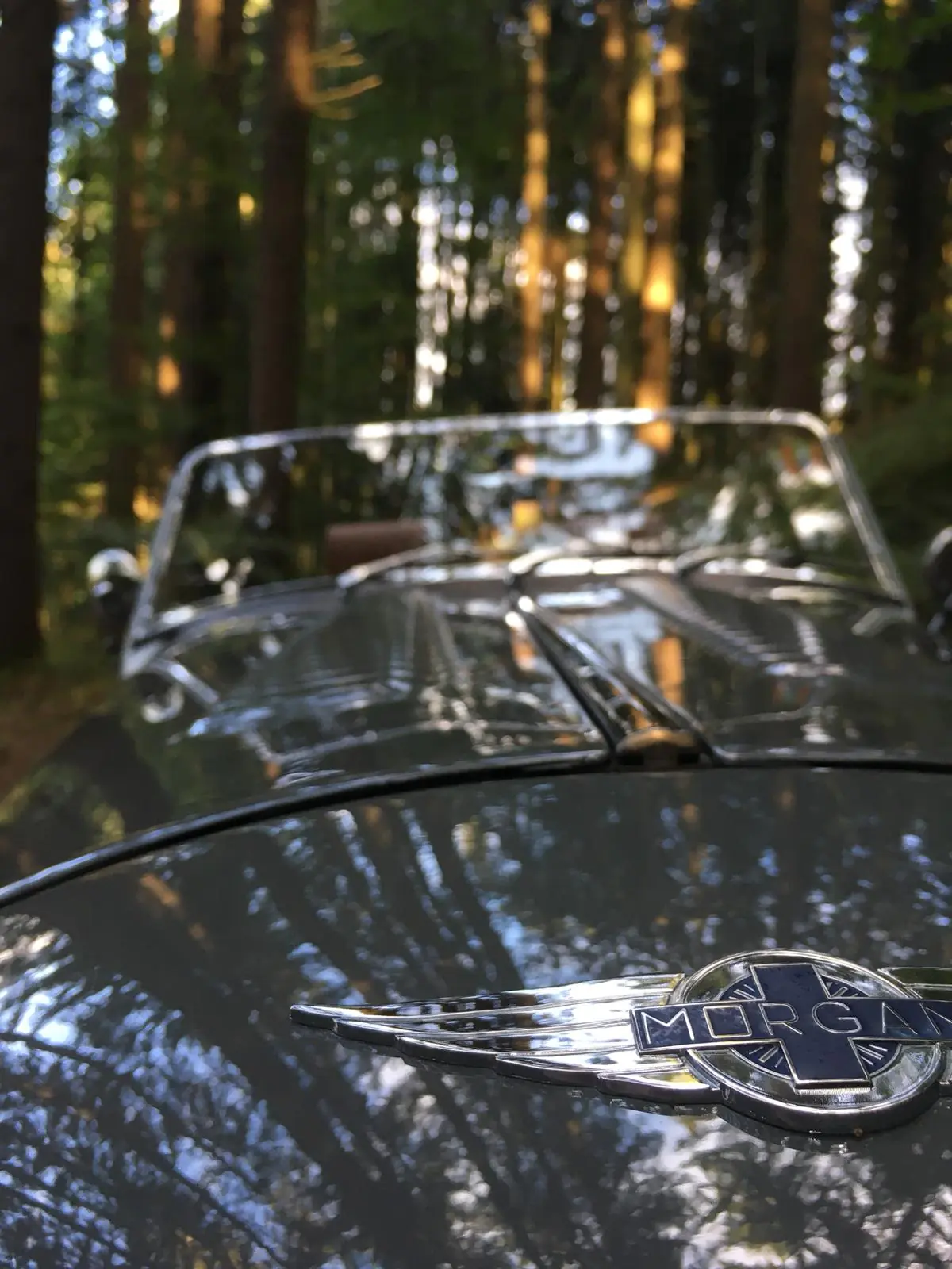 Morgan 4 4 2012 occasion Marbach SG — 3