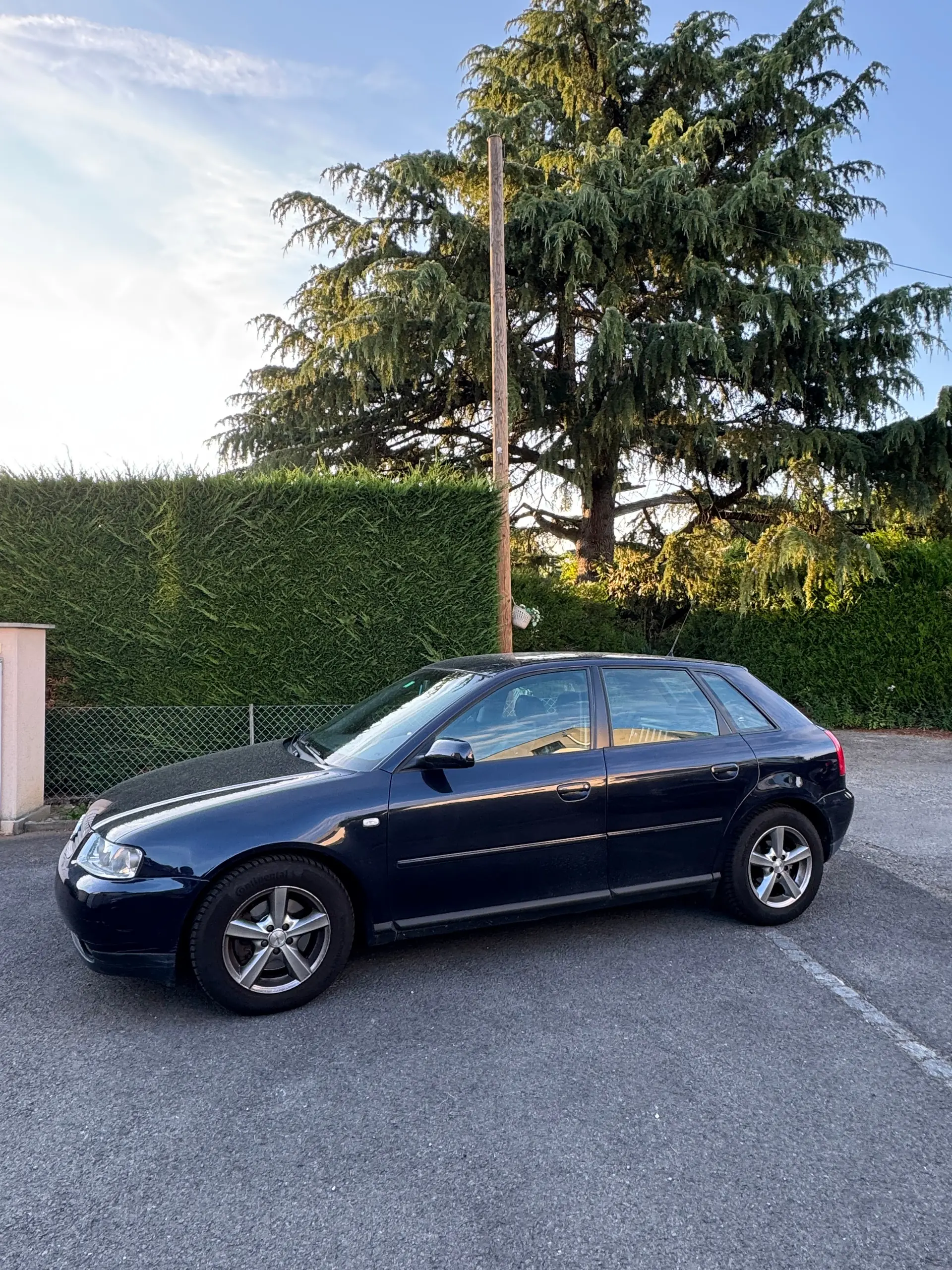 Audi A3 2001 occasion Chêne-Bougeries — 1