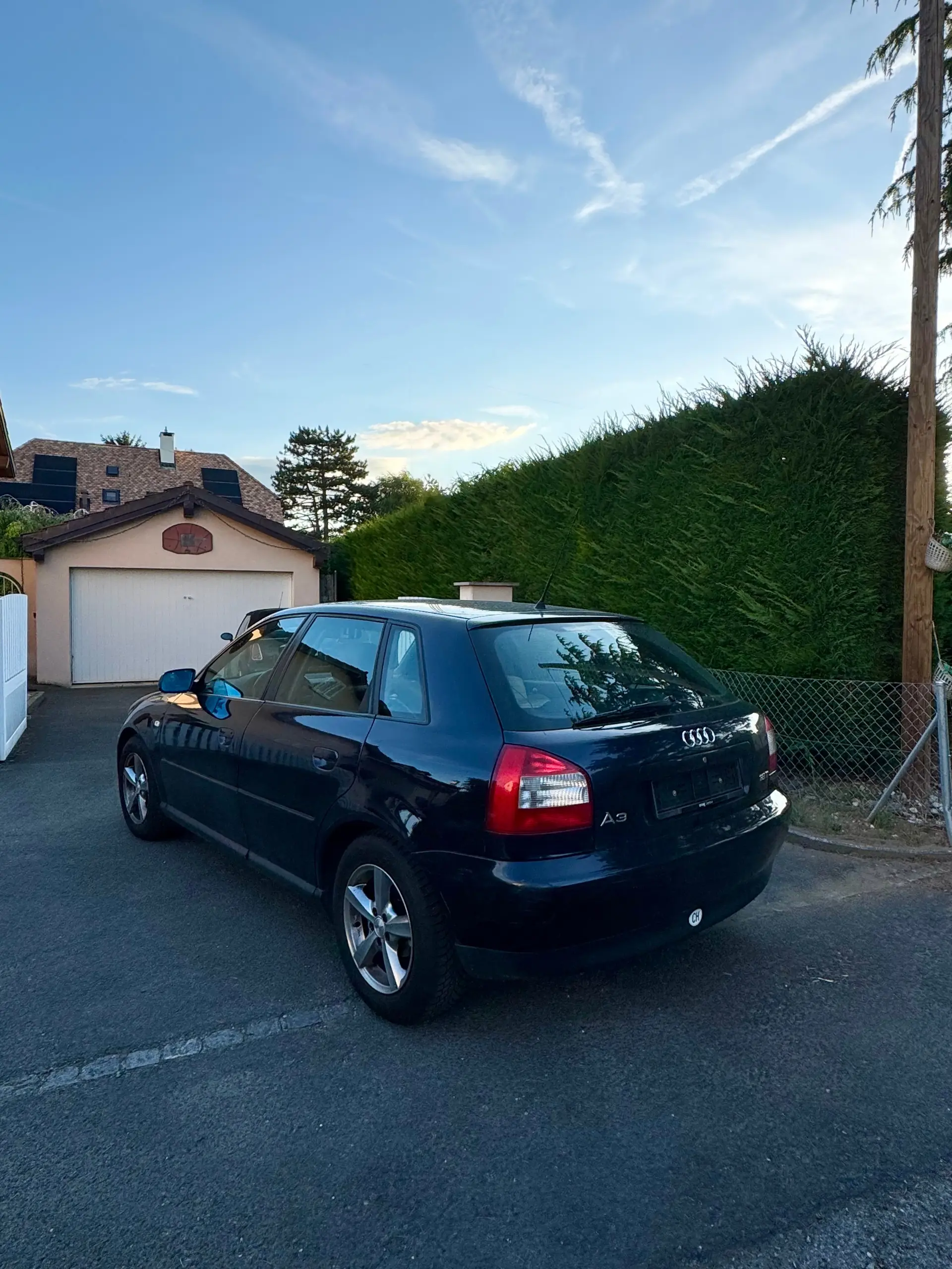 Audi A3 2001 occasion Chêne-Bougeries — 3