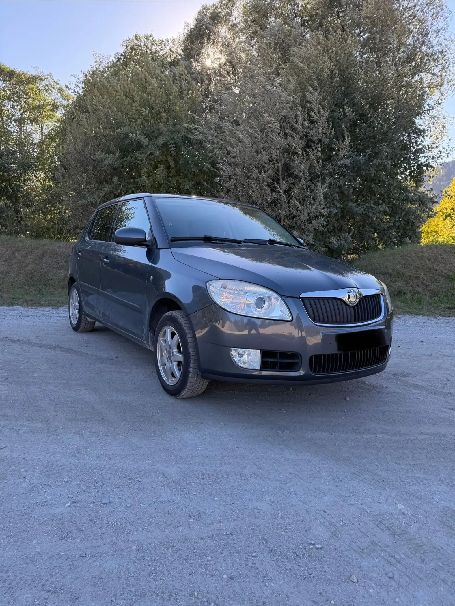 Skoda Fabia 2010 occasion Schluein — 3