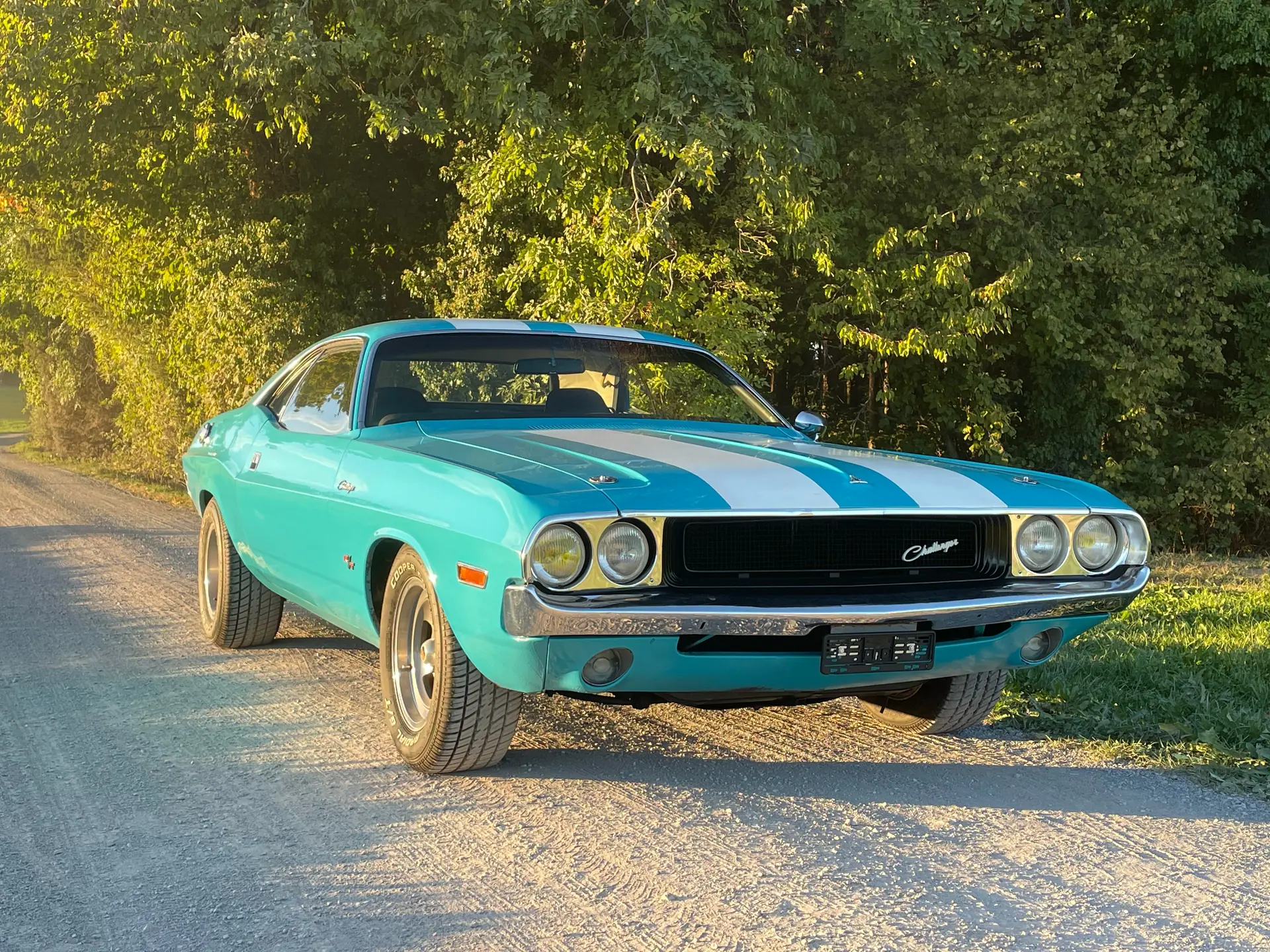 Dodge Challenger 1970 occasion Wittenbach — 1