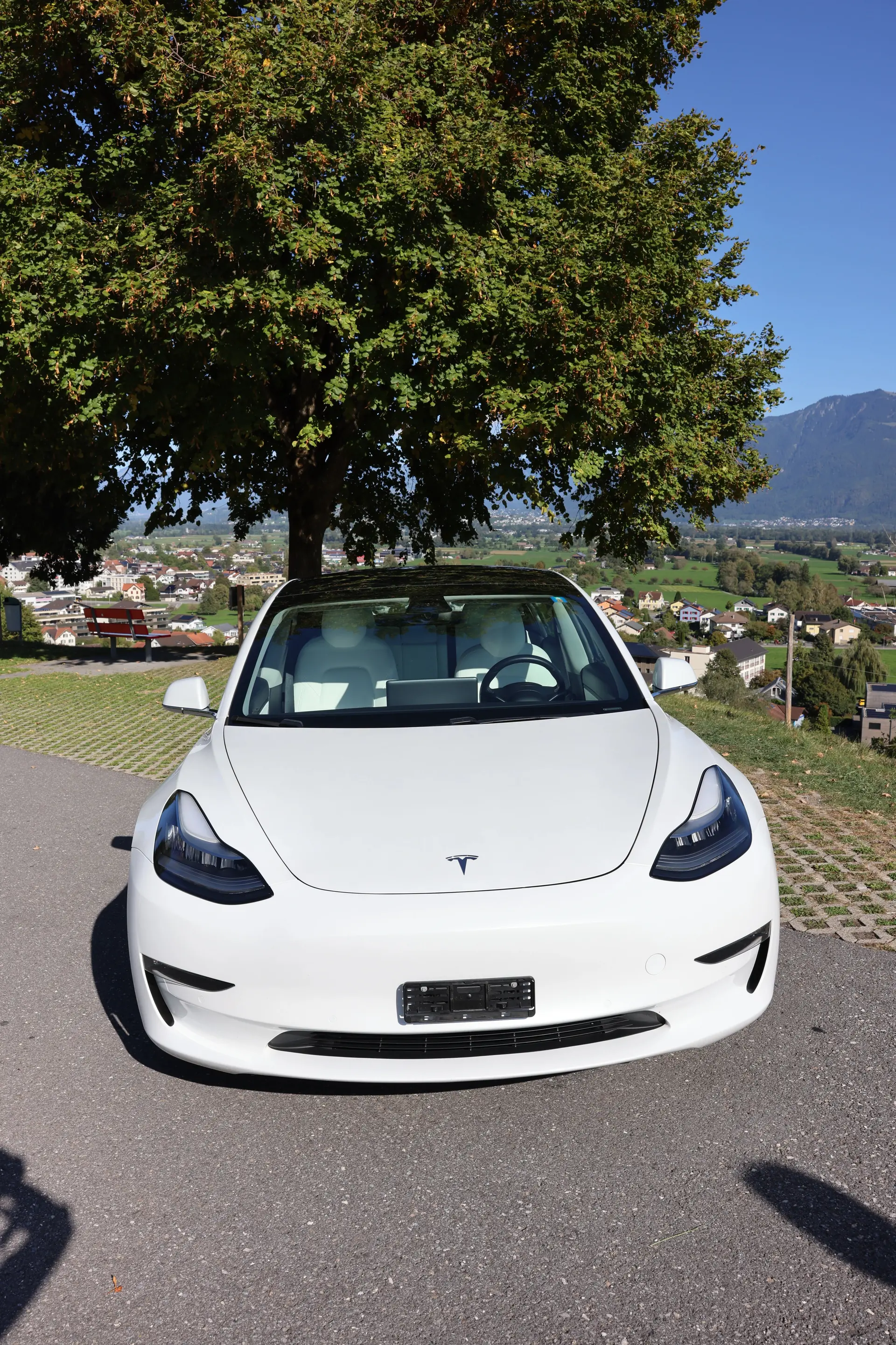 Tesla Model 3 2019 occasion Grabs — 2