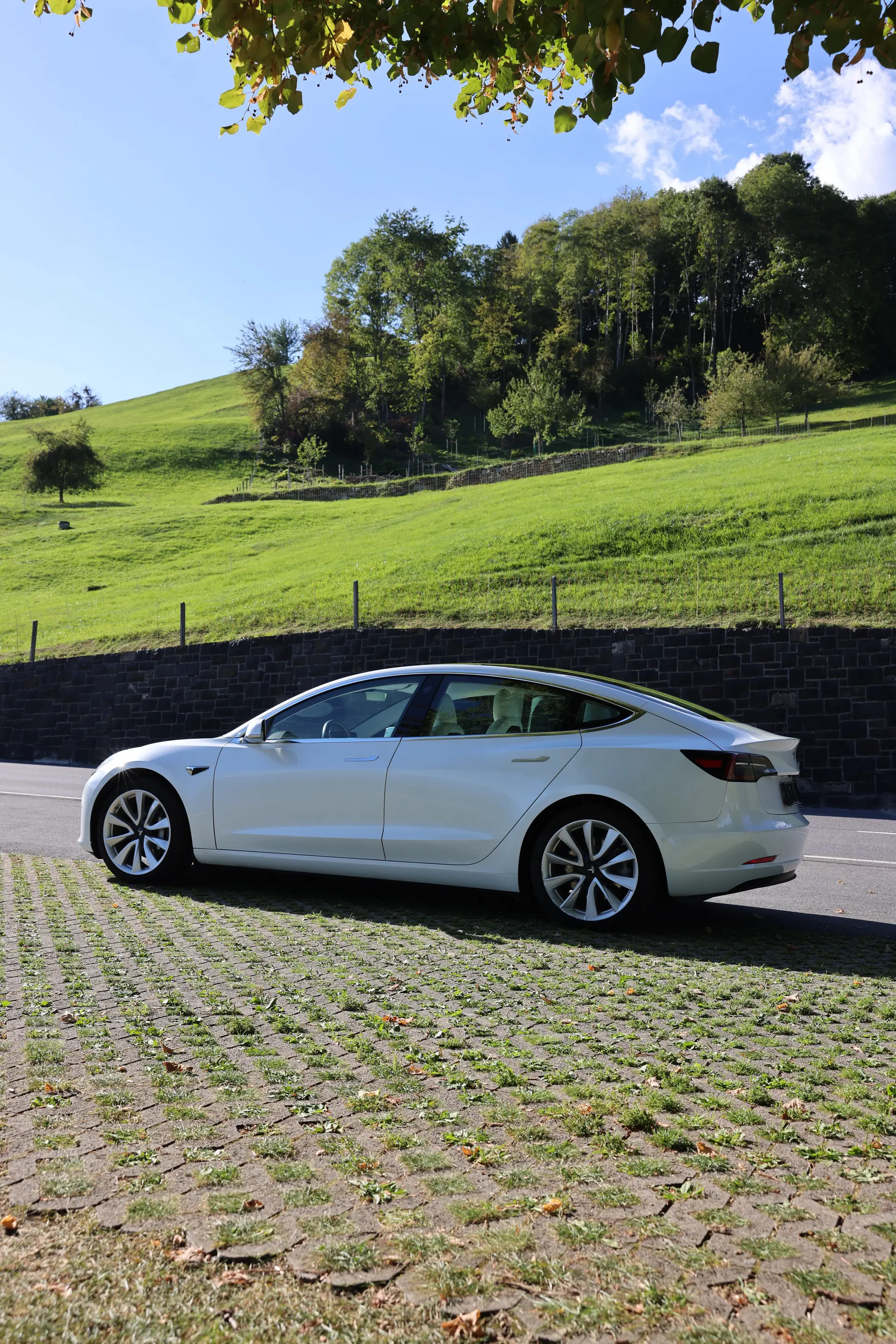 Tesla Model 3 2019 occasion Grabs — 1