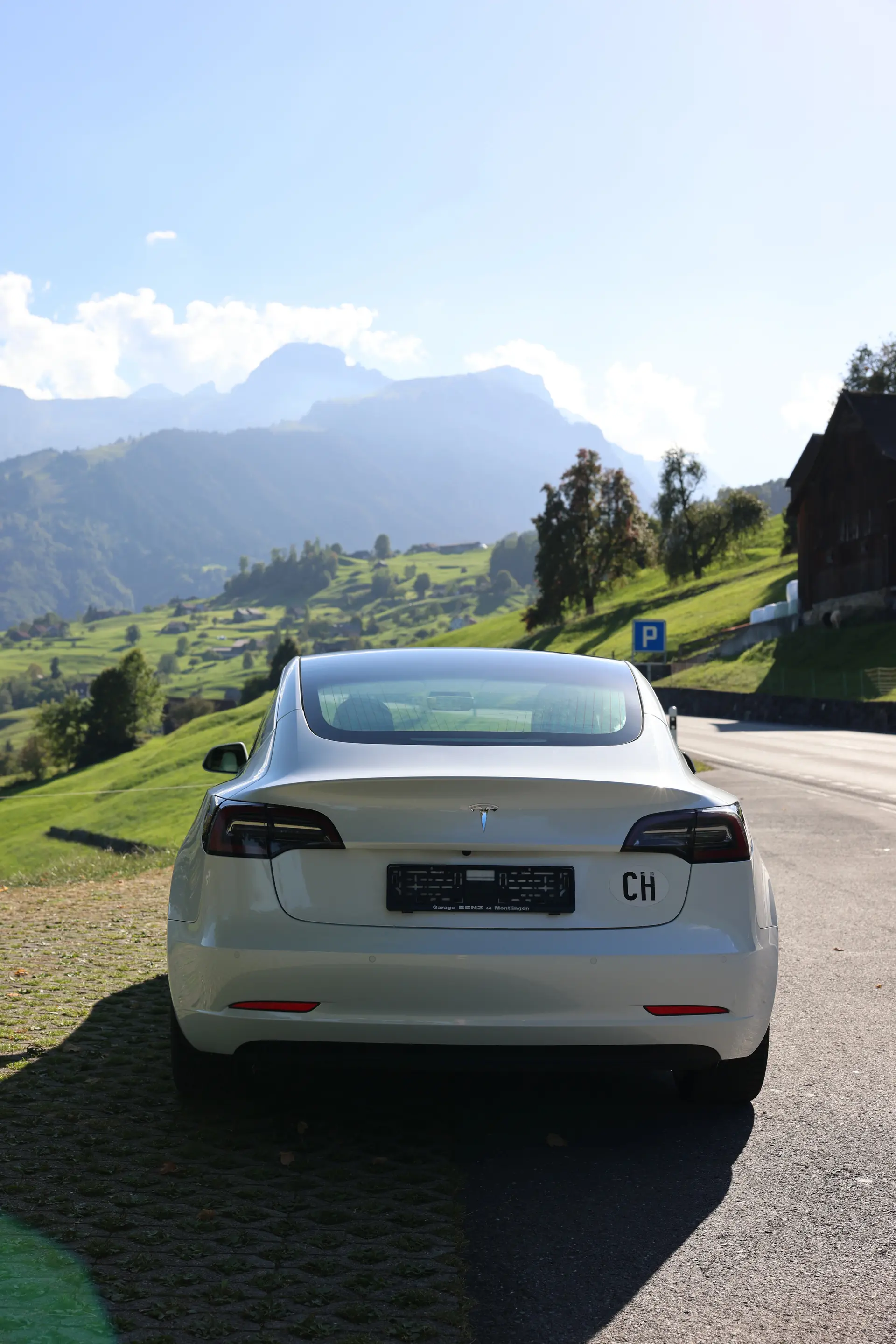 Tesla Model 3 2019 occasion Grabs — 3