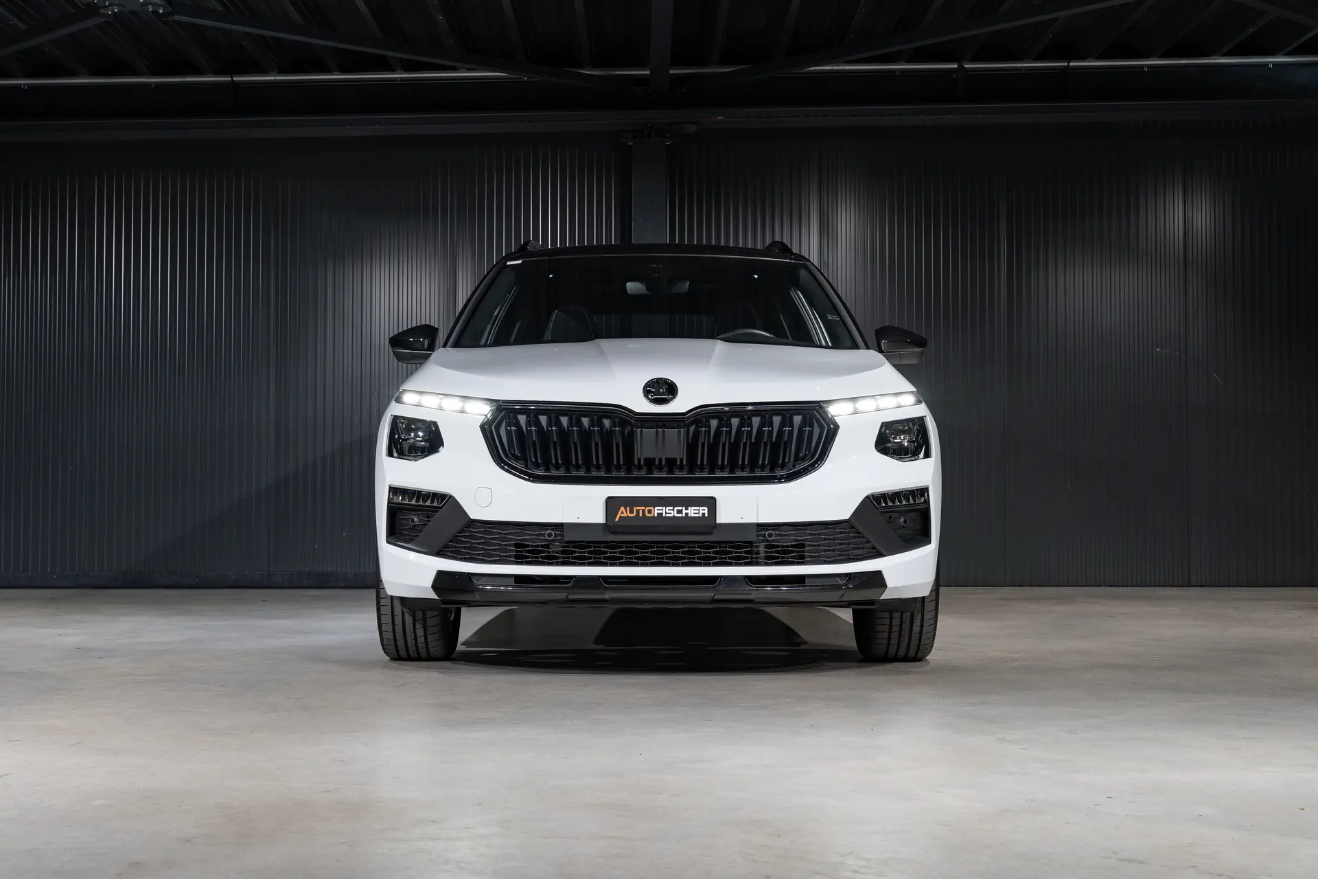 Skoda Kamiq 2025 occasion Ettingen — 4