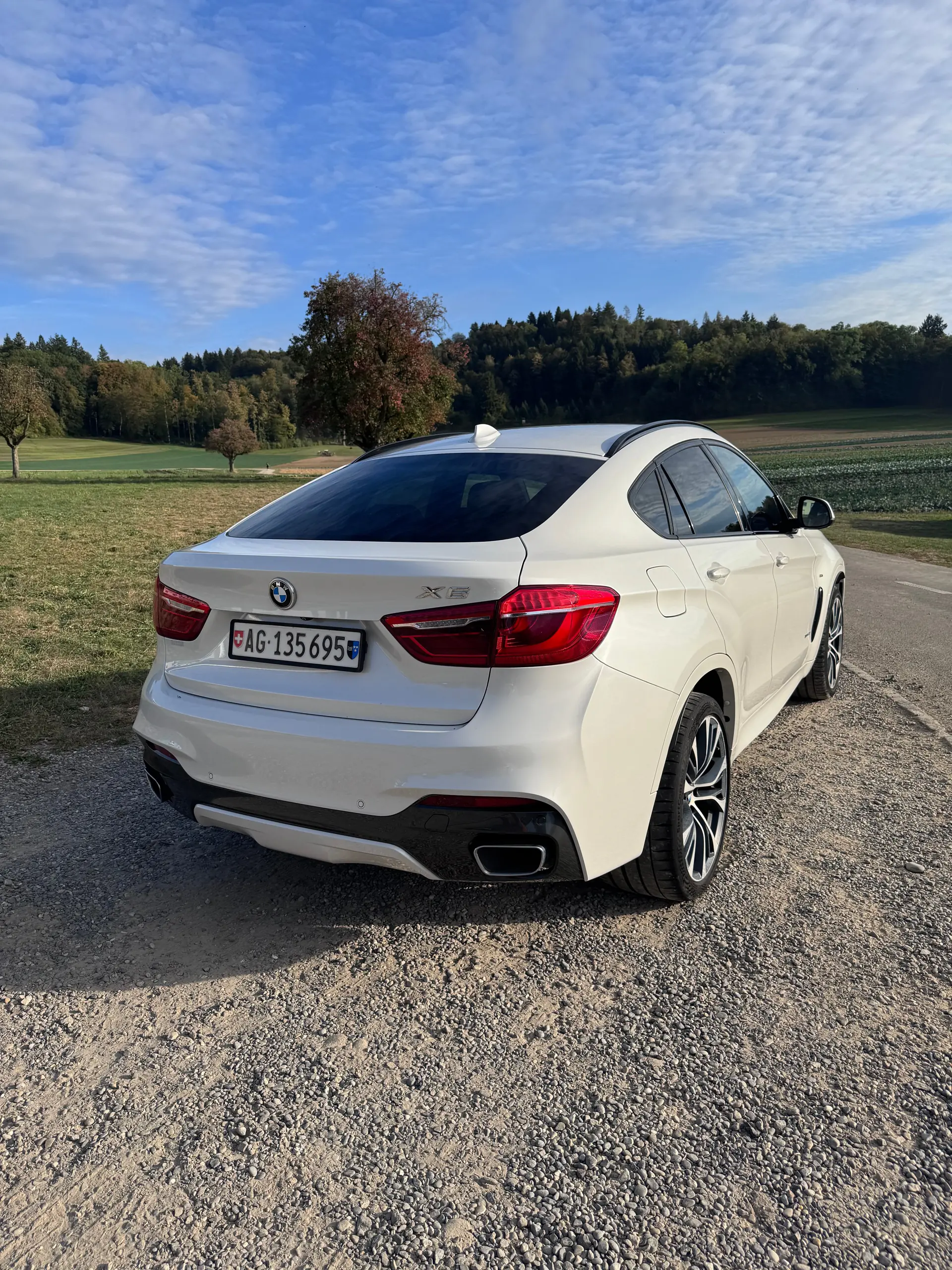 BMW X6 2017 occasion Dottikon — 3