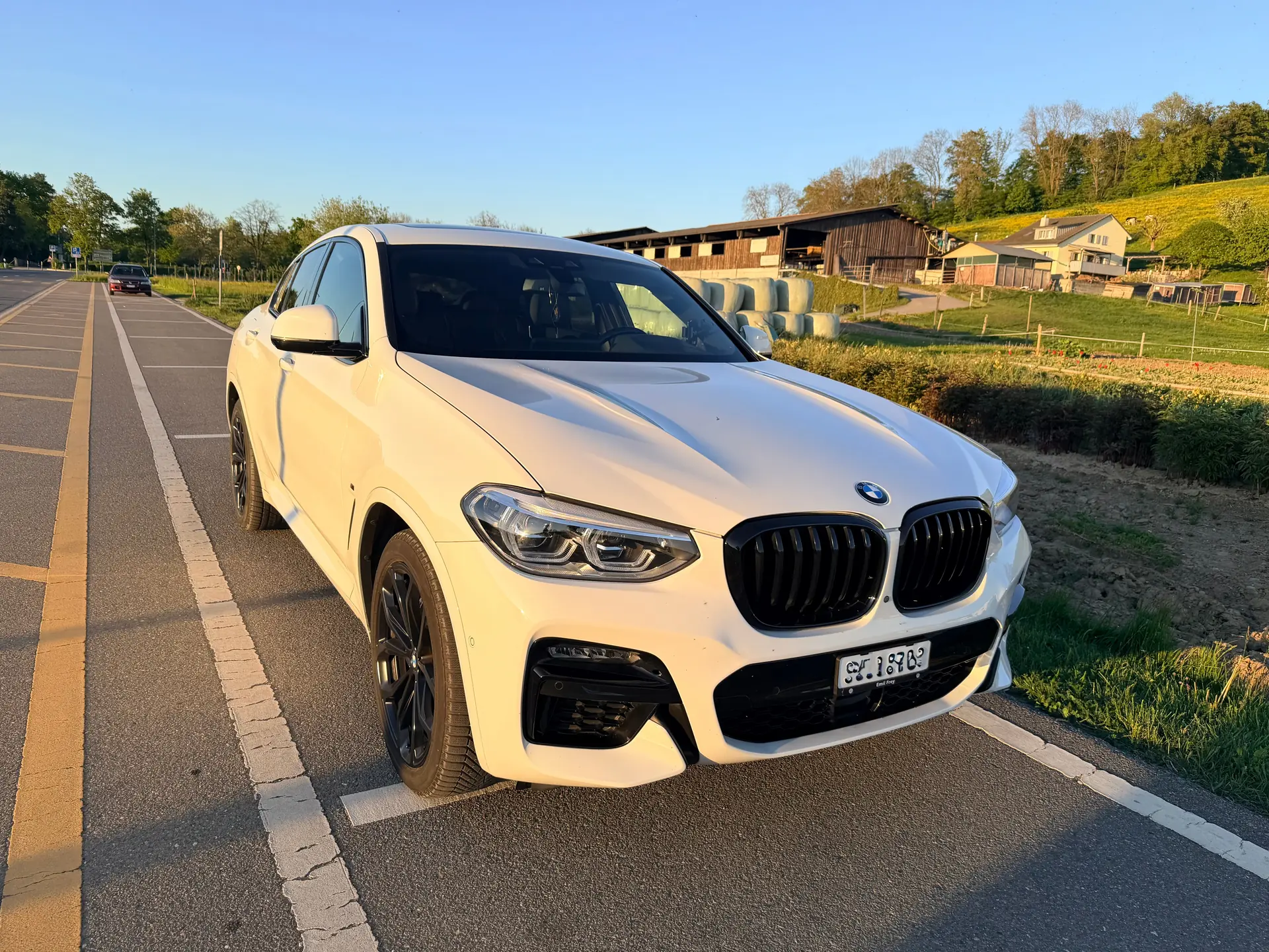BMW X4 2020 occasion Neuhausen am Rheinfall — 2