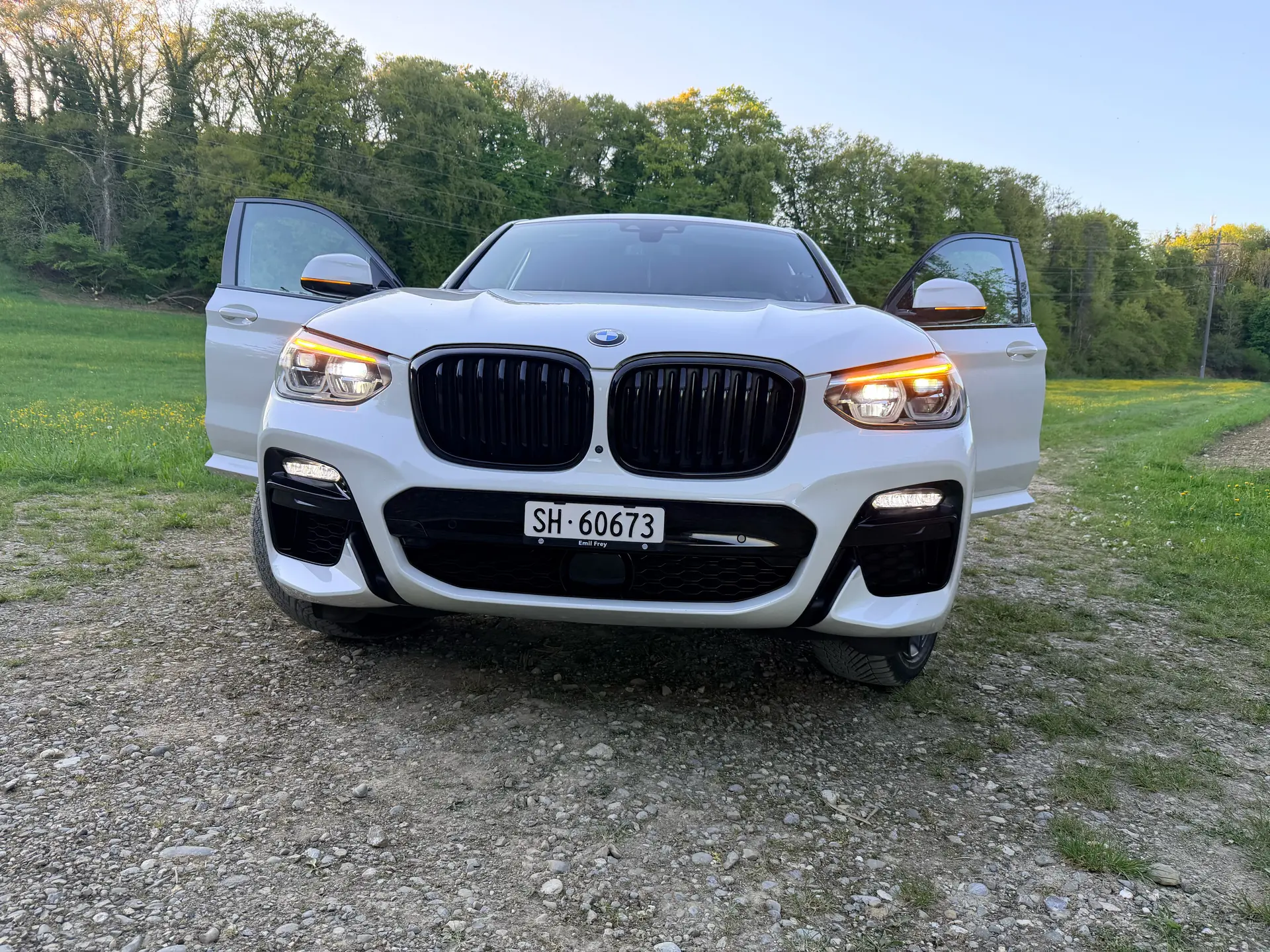 BMW X4 2020 occasion Neuhausen am Rheinfall — 4