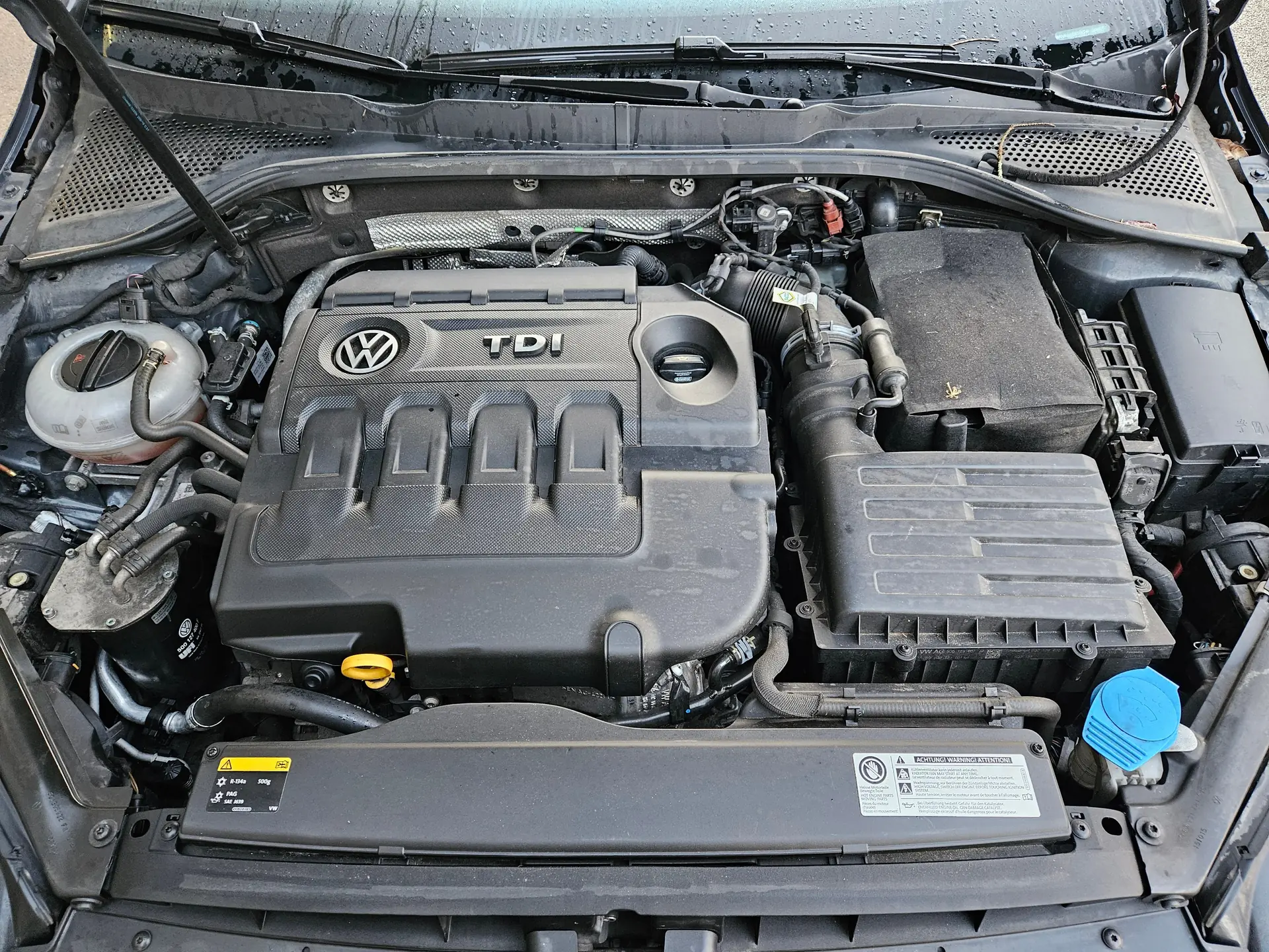 Volkswagen T6 2016 occasion Genève — 5