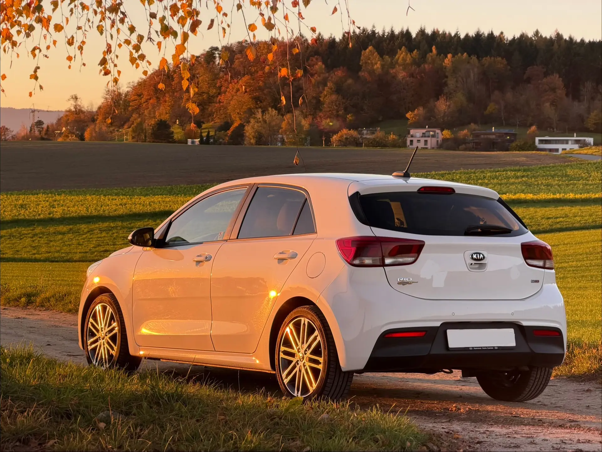 Kia Rio 2017 occasion Seuzach — 3
