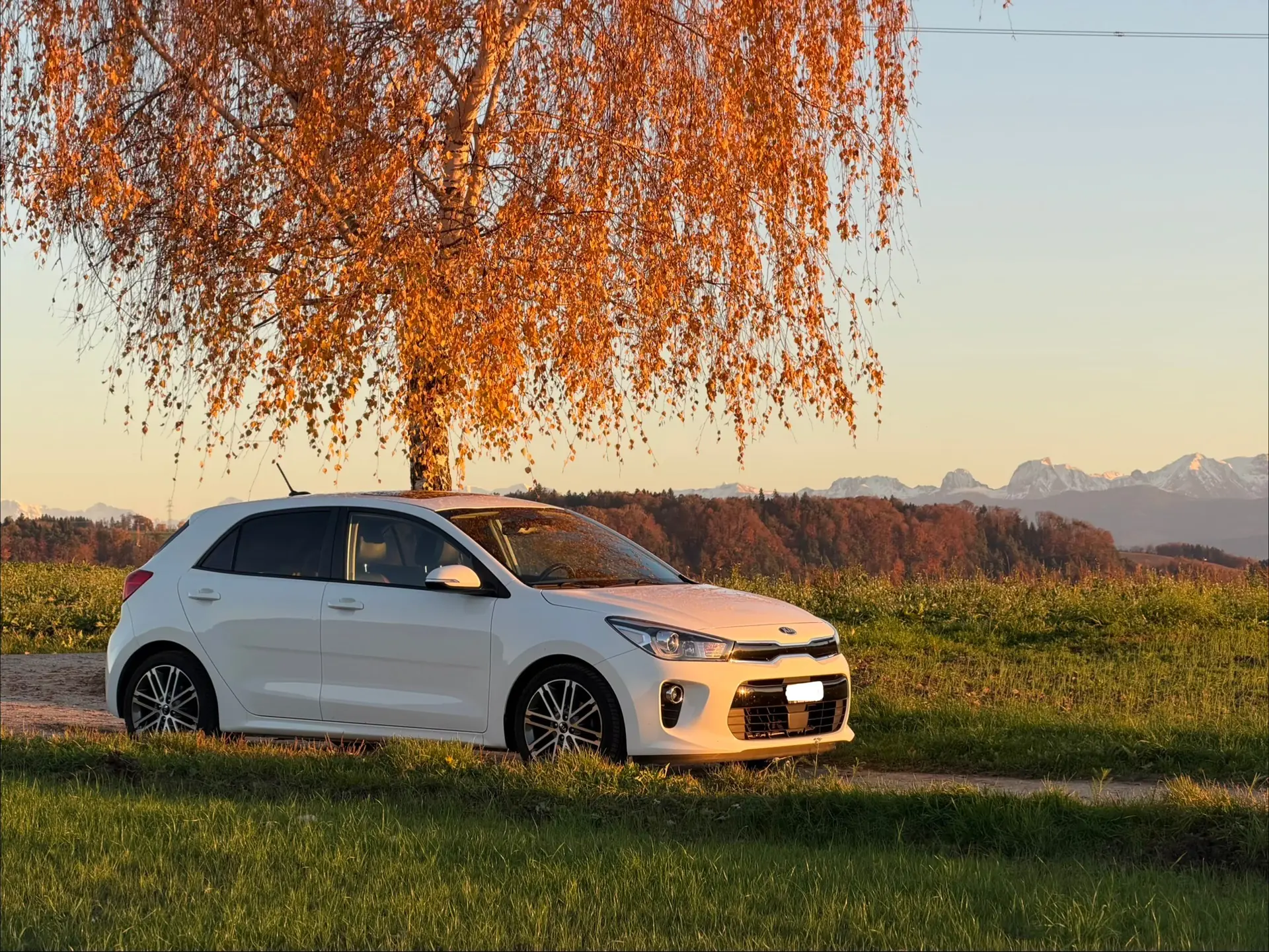 Kia Rio 2017 occasion Seuzach — 1