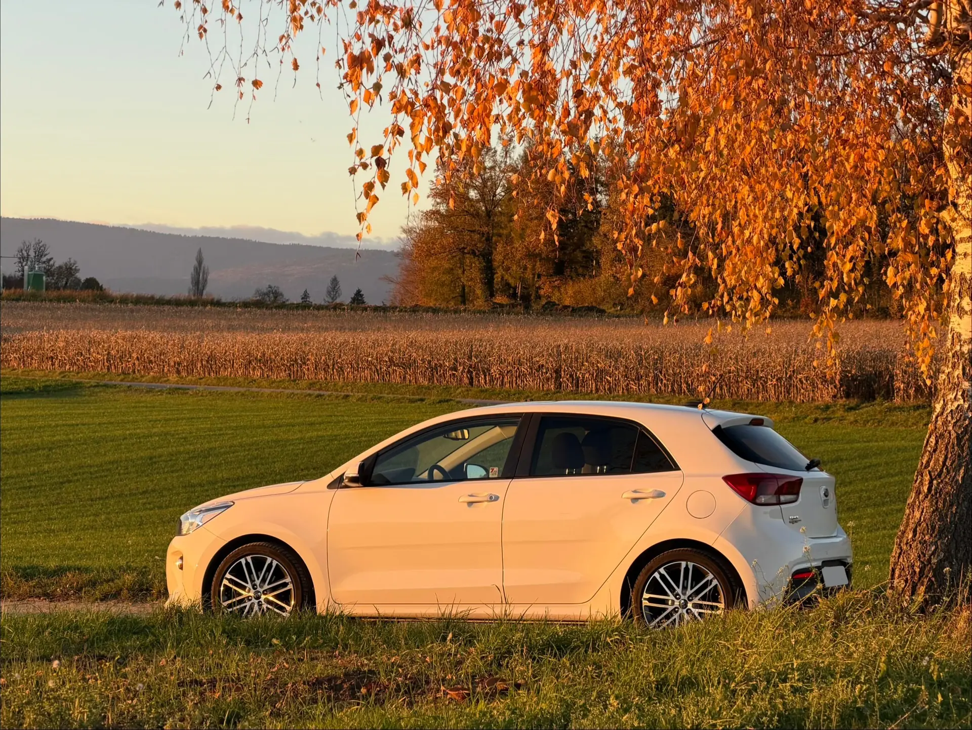 Kia Rio 2017 occasion Seuzach — 2