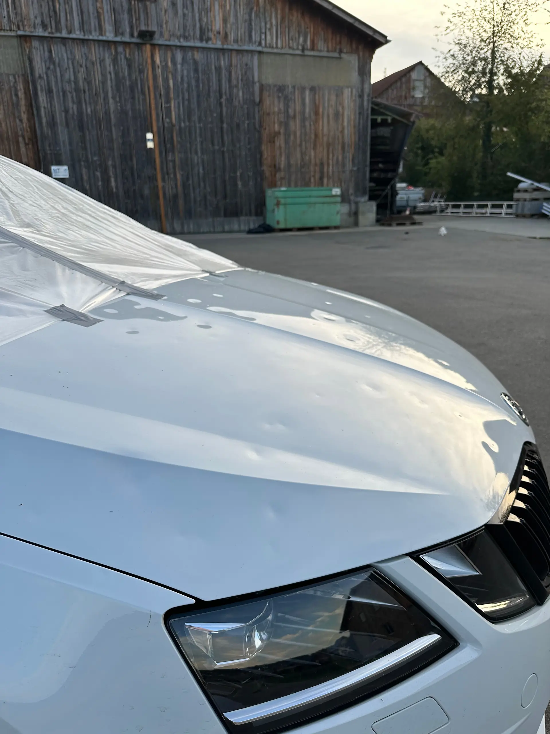 Skoda Octavia 2018 occasion Winterthur — 3