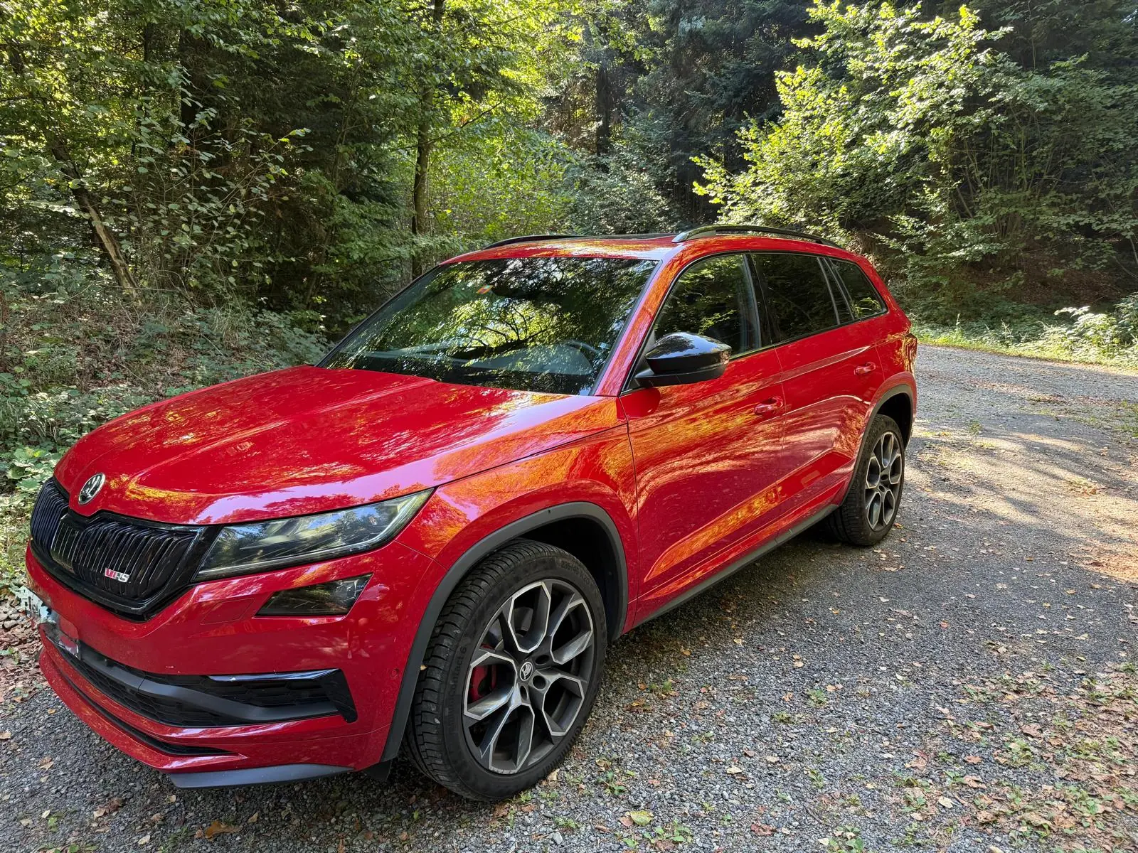 Skoda Kodiaq 2019 occasion Hünenberg — 1