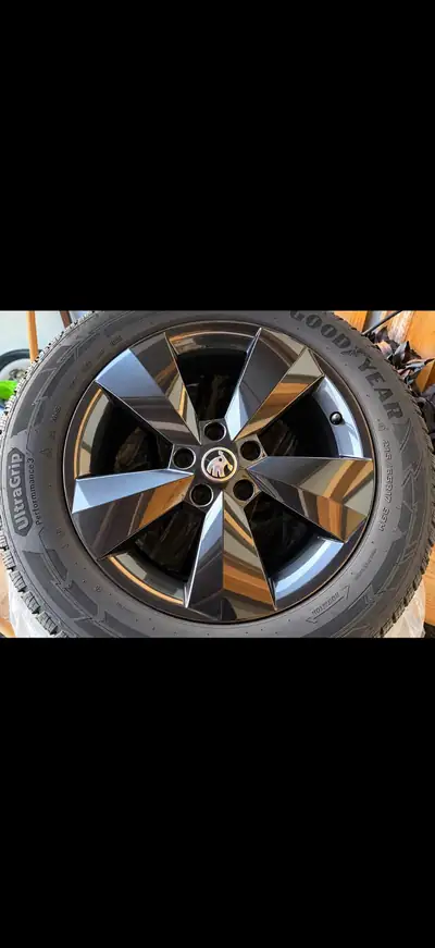 Skoda Kodiaq 2.0 Bi-TDI 240 RS DSG — SUV performant tout-terrain, 145'000 km — detail