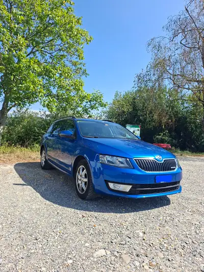 Skoda Octavia 1.6 TDI 110 GreenLine — Break économe, entretien réduit — vista esterna