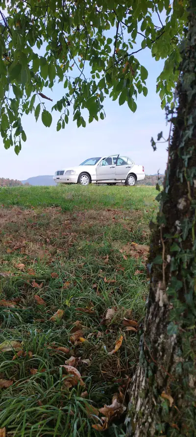 Mercedes-Benz C 280 Eleganz — Berline de prestige années 90, entretien exemplaire — cruscotto