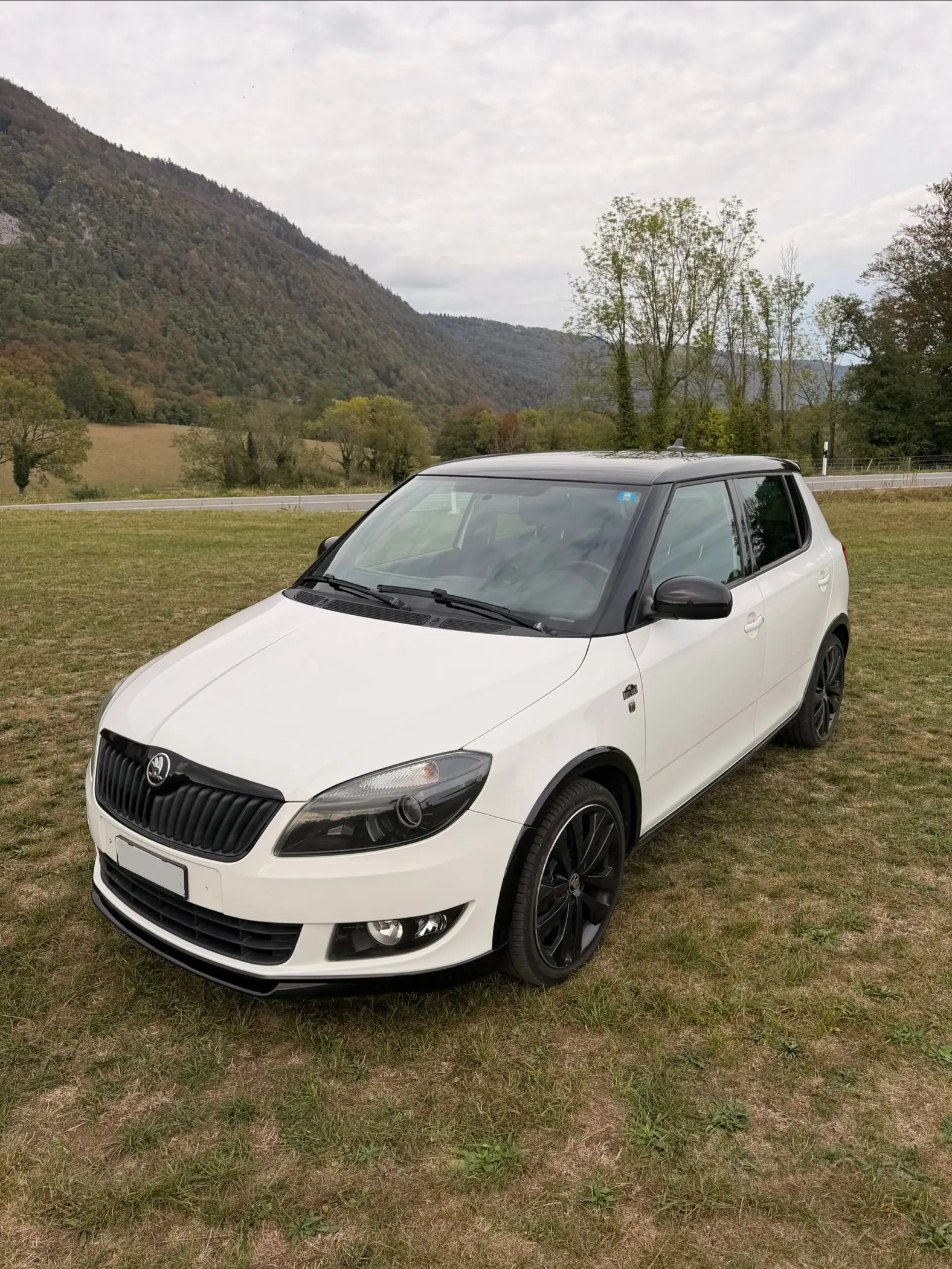 Skoda Fabia 1.2 TSI Monte Carlo — Citadine agile, entretien récent, pneus hiver inclus