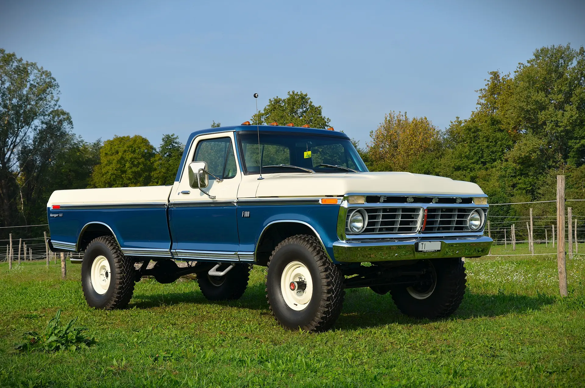 Ford F Pickup 1975 occasion Riva San Vitale — 4