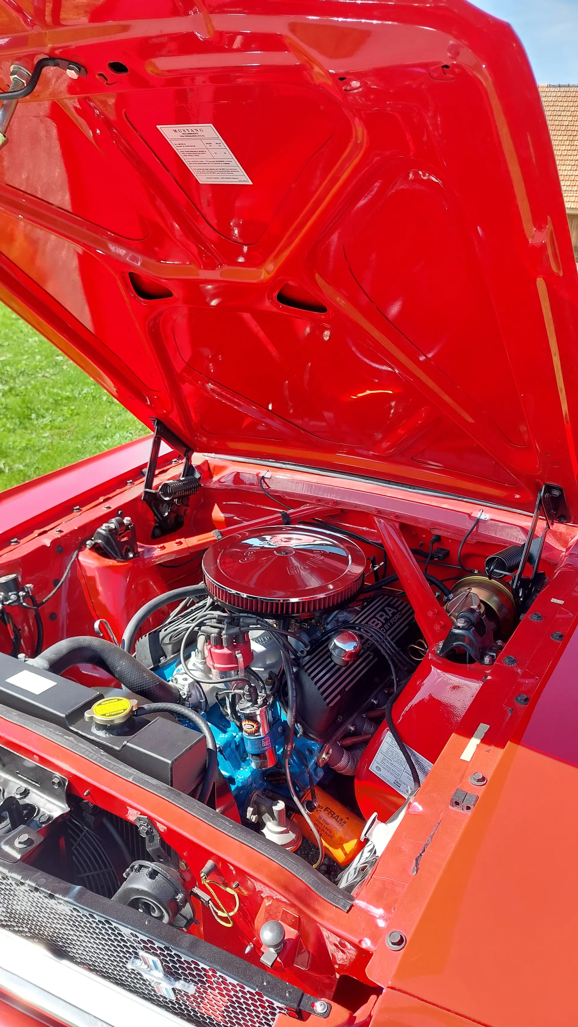 Ford Mustang 1965 occasion St. Gallen — 3