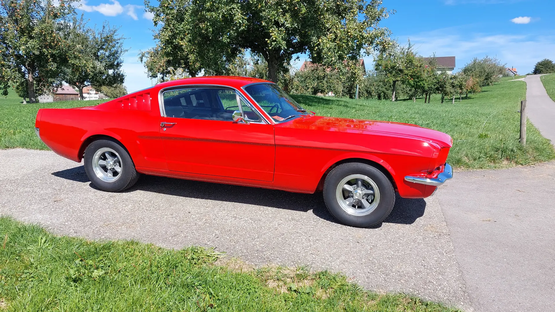 Ford Mustang 1965 occasion St. Gallen — 1