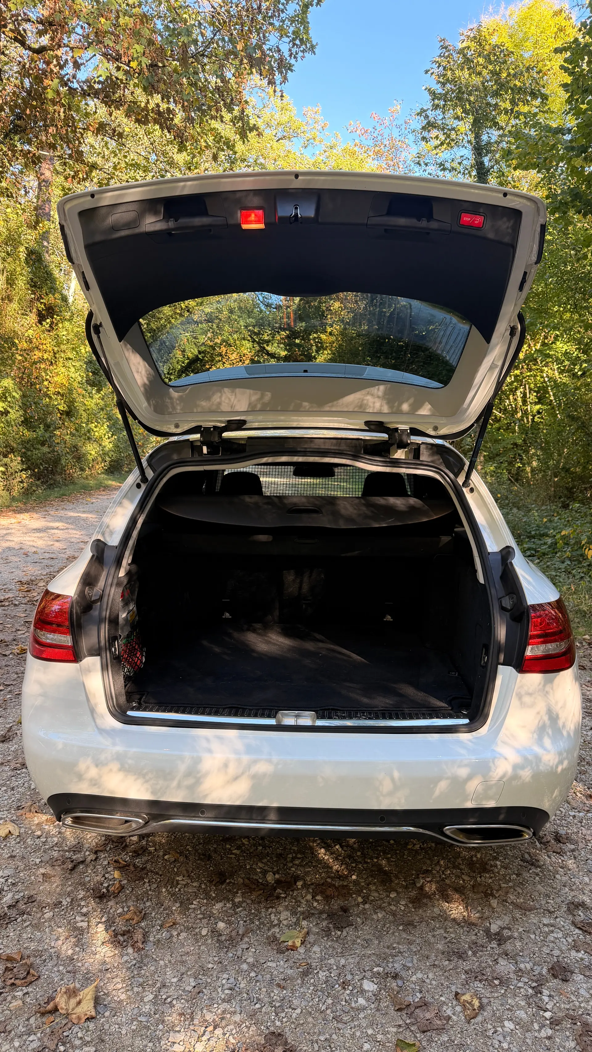 Mercedes-Benz Classe C 2016 occasion Uhwiesen — 4