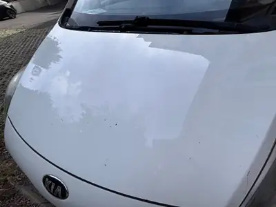 Kia Carens 1.6 GDi Trend — Monospace 7 places fiable, sans sinistre — Detail