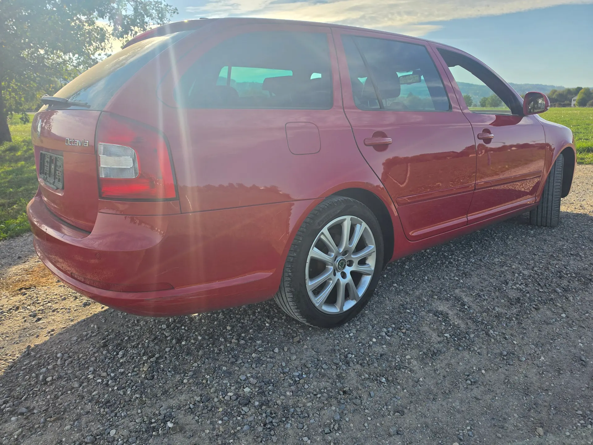 Skoda Octavia 2010 occasion Rüti — 3
