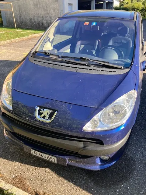 Peugeot 1007 occasion Roche — 2