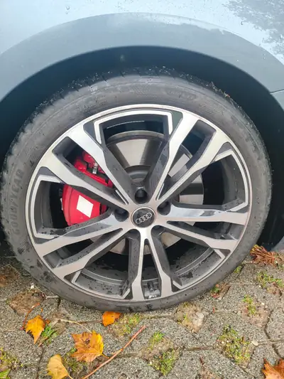 Audi S5 Sportback 3.0 V6 TFSI — Break haute performance, 9000 km seulement — Armaturenbrett