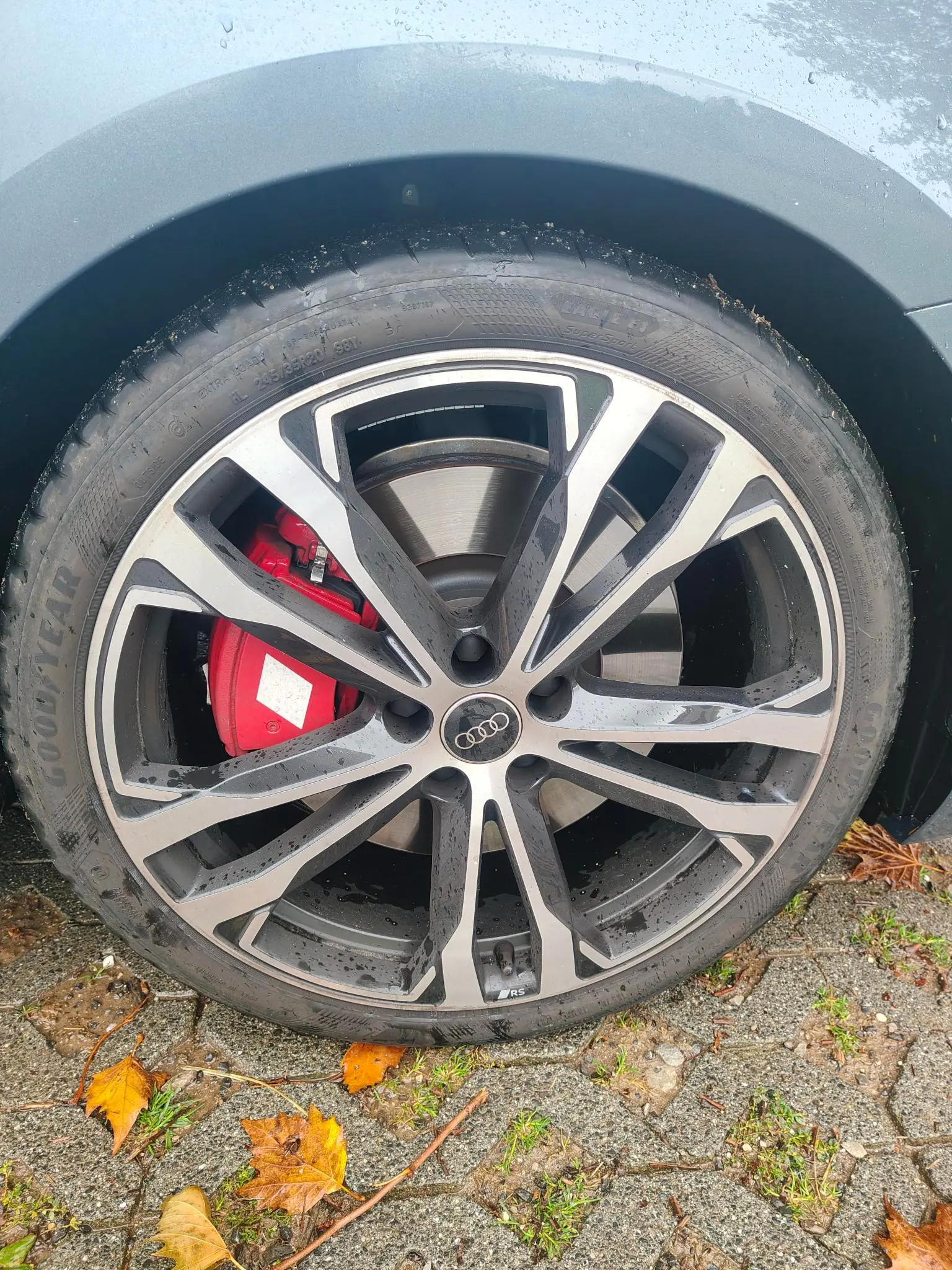 Audi S5 2024 occasion Grandvaux — 5