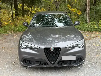 Alfa Romeo Stelvio 2.0 Q4 280 Veloce — SUV sportif 4x4, historique complet, 95 000 km — exterior view