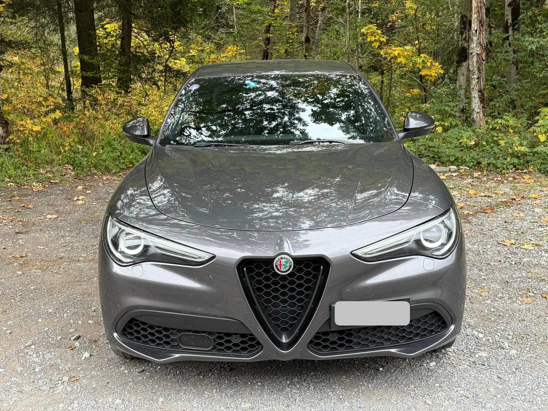 Alfa Romeo Stelvio 2021 occasion Gstaad — 1