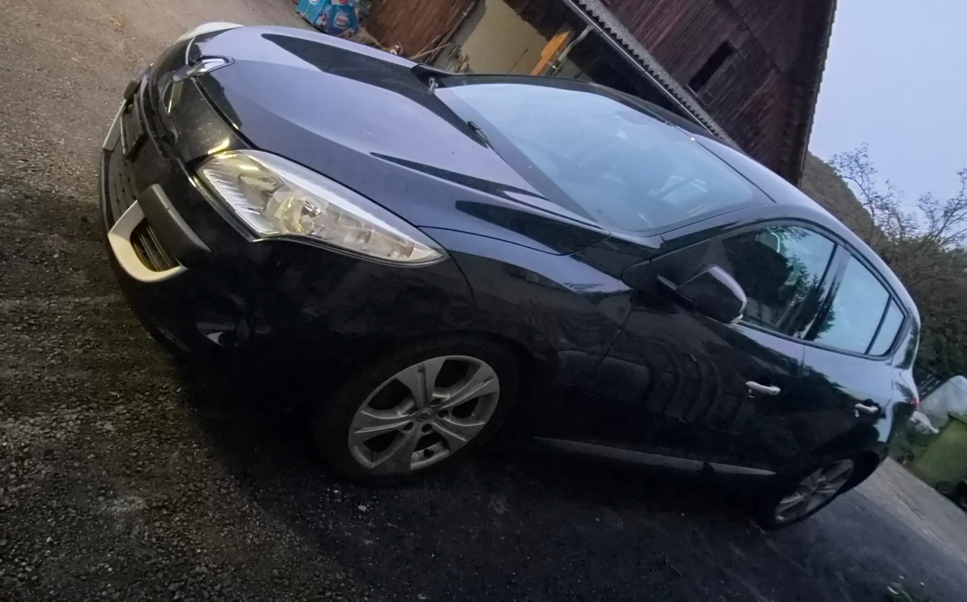 Renault Megane 2009 occasion Guntershausen — 2