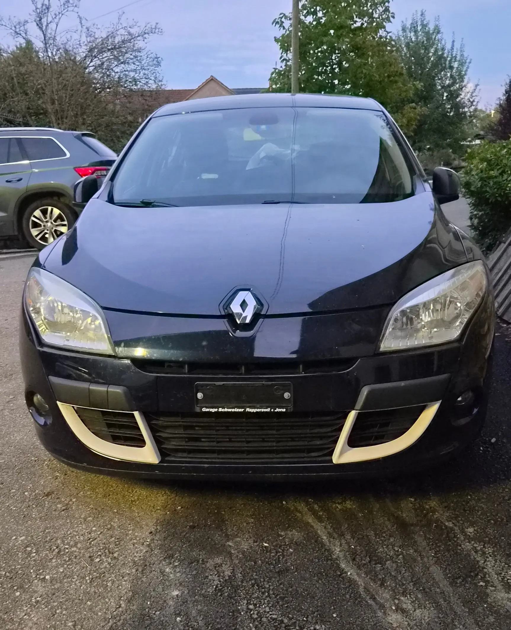 Renault Mégane 2.0 T — Berline dynamique, 180 ch et sans sinistre