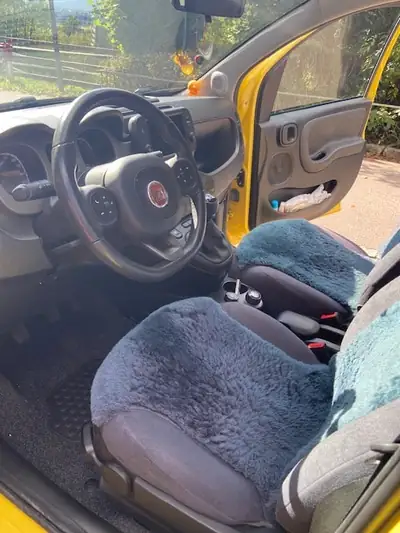 Fiat Panda 0.9 TwinAir Cross 4×4 — Citadine polyvalente toutes terrains, 66 000 km — vista posteriore