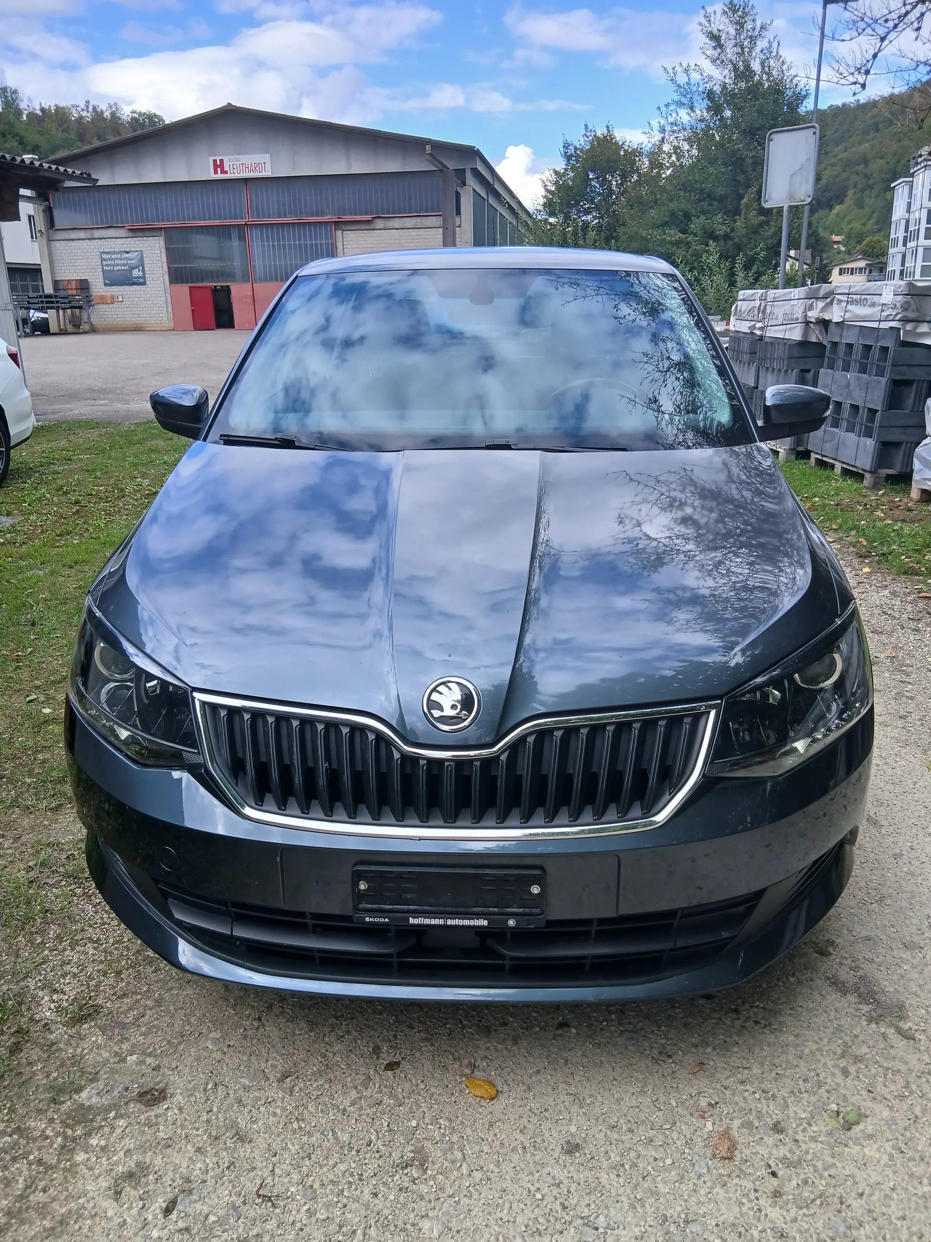Skoda Fabia 2015 occasion Muttenz — 2
