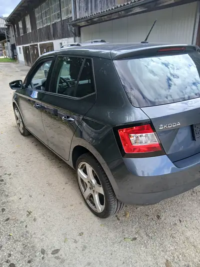 Škoda Fabia 1.2 TSI GrT Fresh — Citadine fiable, 160'000 km, sans accident — detail