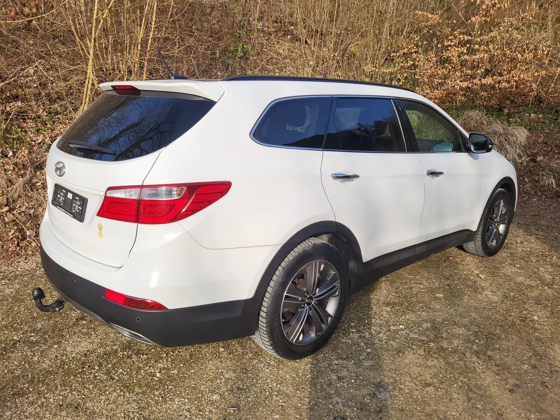Hyundai Grand Santa Fe 2013 occasion Zeglingen — 3