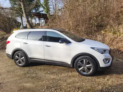 Hyundai Grand Santa Fe — SUV 7 places diesel, spacieux et fiable — fianco