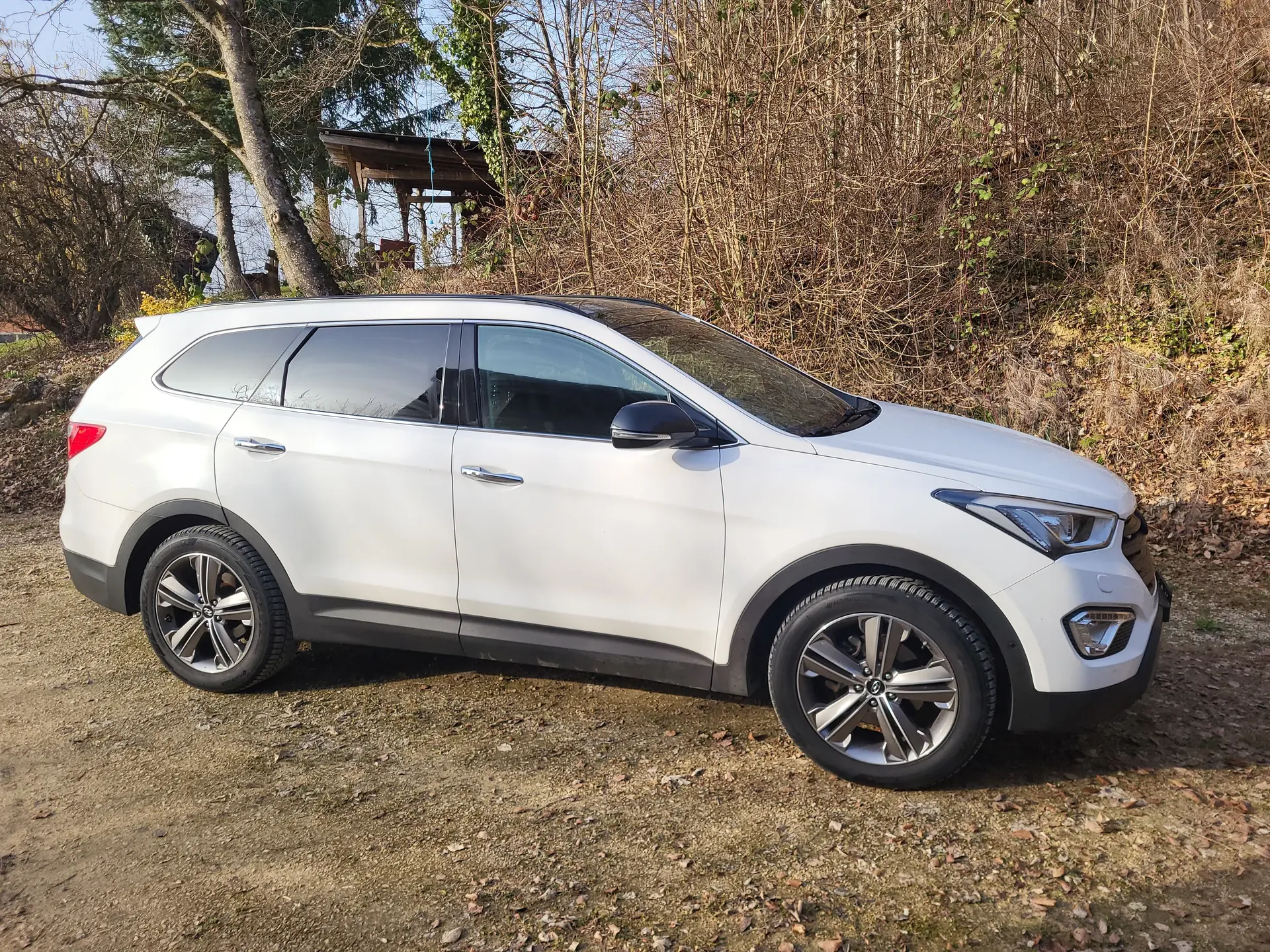 Hyundai Grand Santa Fe 2013 occasion Zeglingen — 2