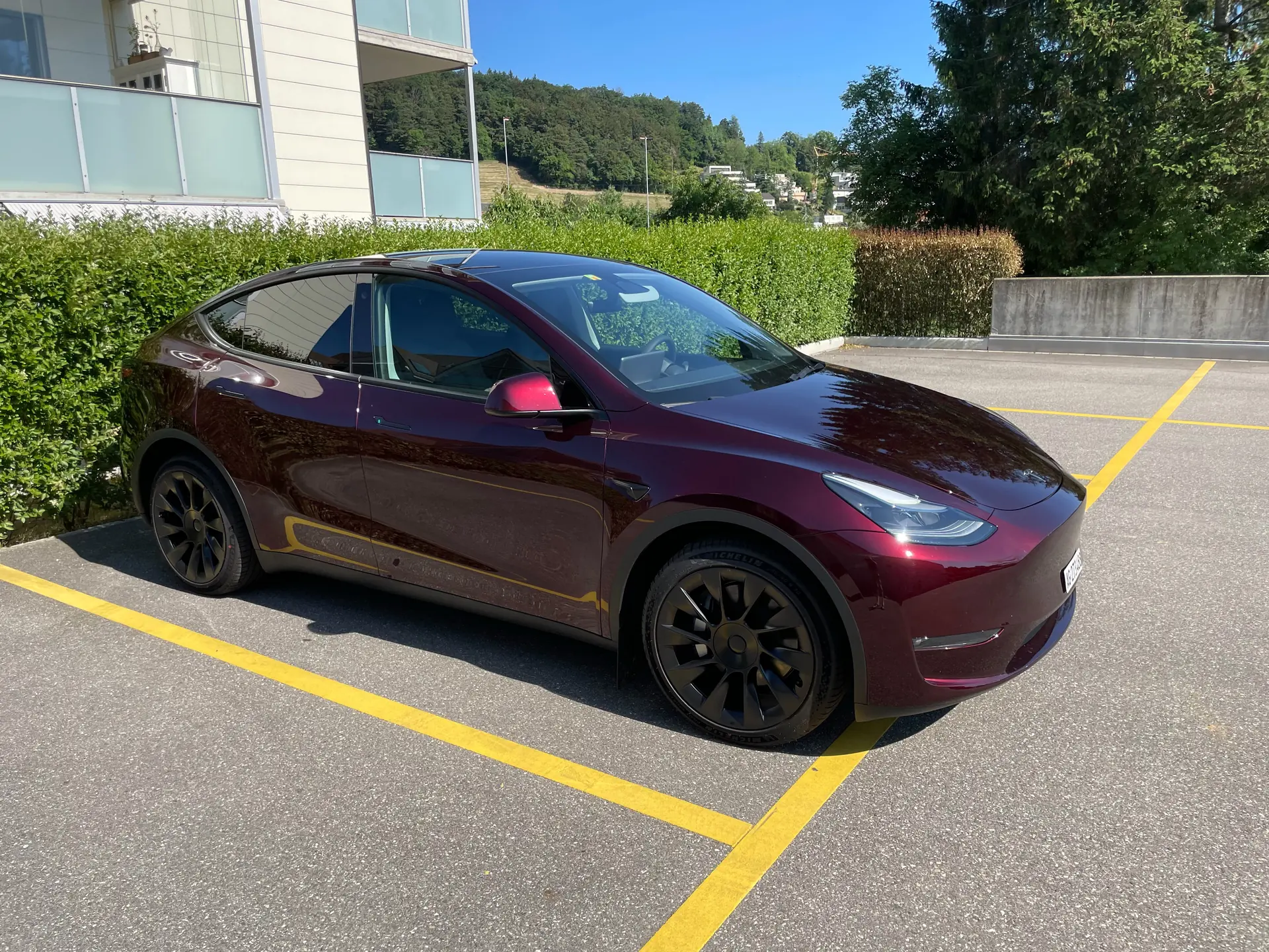 Tesla Model Y 2023 occasion Erlinsbach — 2