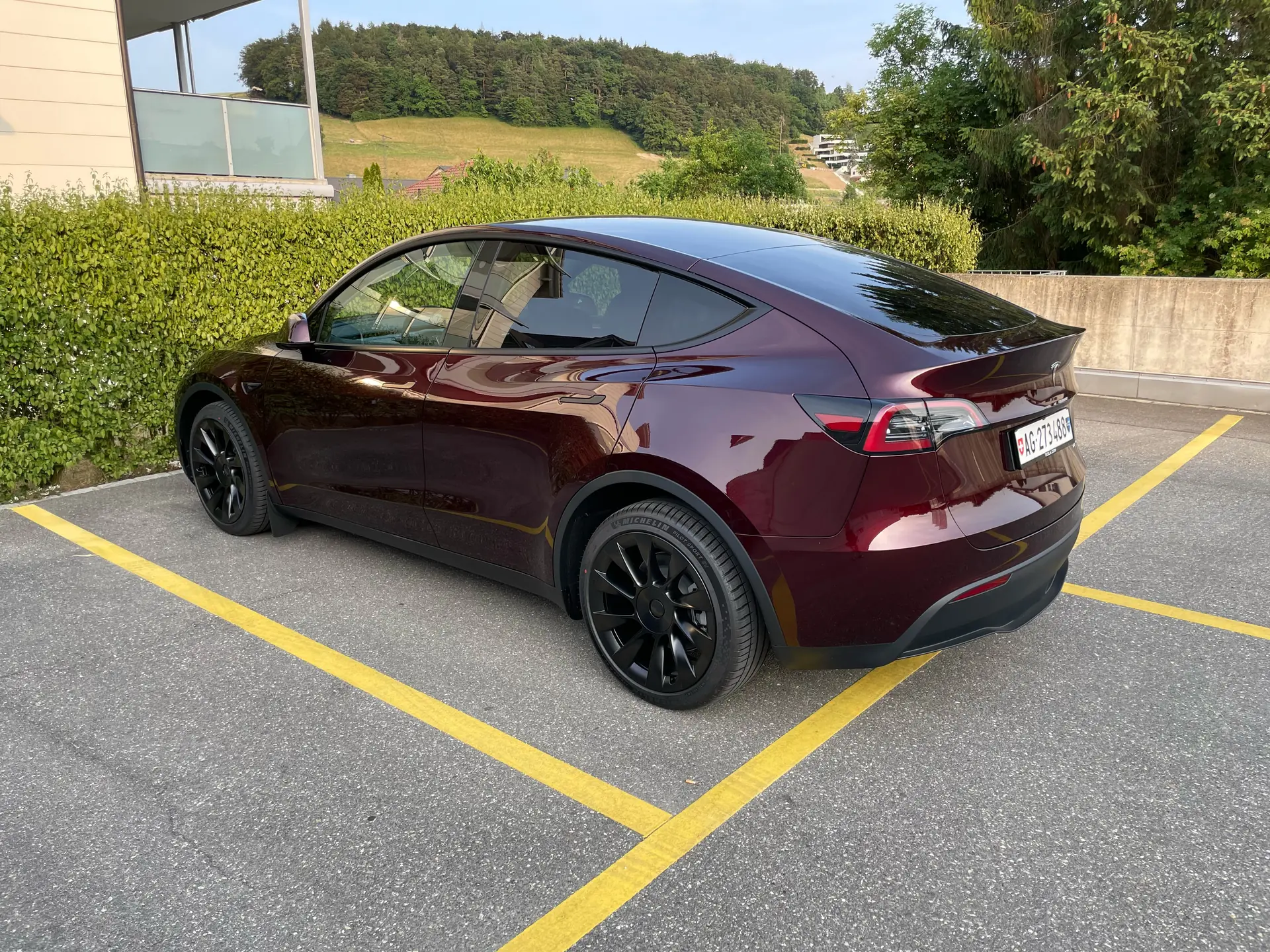 Tesla Model Y 2023 occasion Erlinsbach — 3
