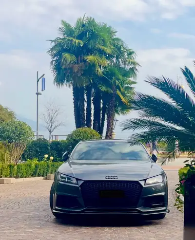 Audi TT S Quattro 2017 — Coupé sportif 310 ch, transmission intégrale — arrière